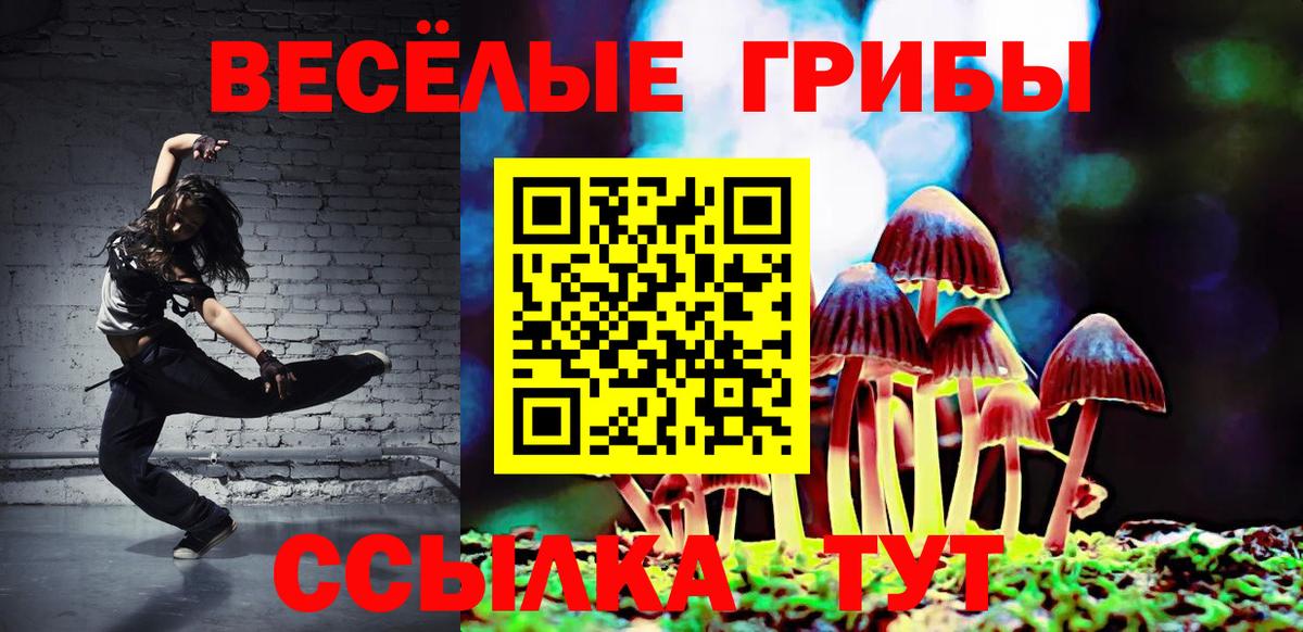Галлюциногенные грибы Psilocybe  Вход с VPN  Славгород 